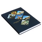 Ежедневник недатированный на сшивке А5, 128 листов, картон 7БЦ, матовая ламинация, фольга «Символика РФ» - Фото 2