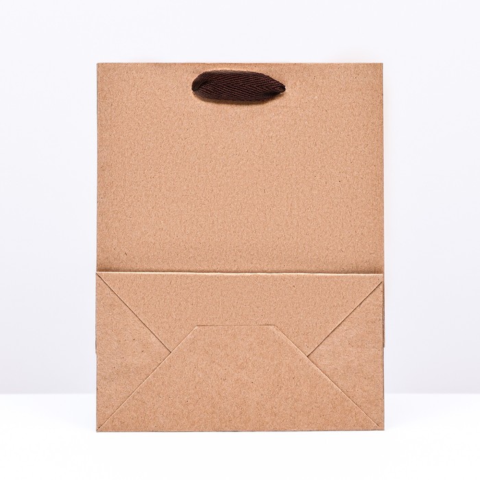 Пакет крафт без печати, 18 х 23 х 10 см 10156761