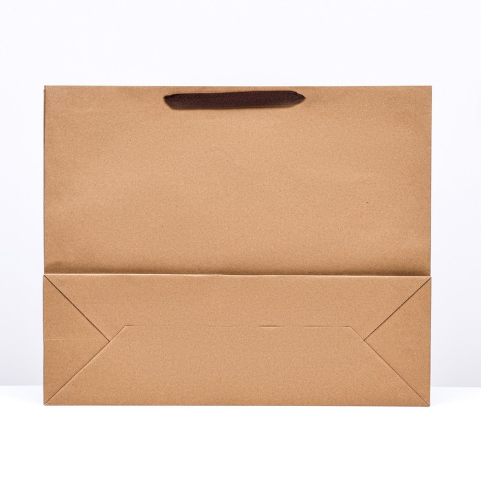 Пакет крафт без печати, 53 х 43.5 х 18см 10156763
