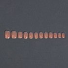 Накладные ногти «Nude», 12 шт, с клеевыми пластинами, c блёстками, форма мягкий квадрат, цвет светло - бежевый - Фото 6