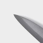 Набор ножей кухонных на подставке Доляна Sparkle, 7 предметов: 5 ножей, мусат и ножницы - Фото 4