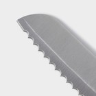 Набор ножей кухонных на подставке Доляна Sparkle, 7 предметов: 5 ножей, мусат и ножницы - Фото 5