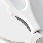 Набор ножей кухонных на подставке Доляна Sparkle, 7 предметов: 5 ножей, мусат и ножницы - Фото 10