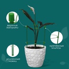 Кустодержатель, d=18 см, h=30 см, 2 кольца, металл, зелёный, Greengo - Фото 2