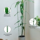 Кустодержатель, d=32–30–28–26–24 см, h=150 см, 5 колец, металл, зелёный, Greengo - Фото 3