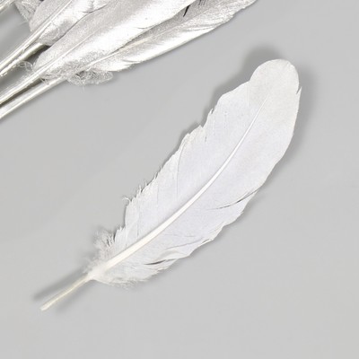 Перо декоративное гусиное двустороннее белое с серебром h=10-15 см