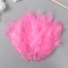 Перо декоративное гусиное пуховое "Ярко-розовое" набор 40 шт h=10-15 см - фото 320751010