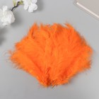 Перо декоративное гусиное пуховое "Оранжевое" набор 40 шт h=10-15 см - Фото 1