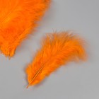 Перо декоративное гусиное пуховое "Оранжевое" набор 40 шт h=10-15 см - фото 8180732