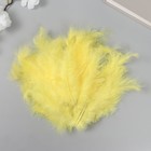 Перо декоративное гусиное пуховое "Жёлтое" набор 40 шт h=10-15 см - фото 8180735