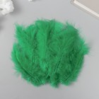 Перо декоративное гусиное пуховое "Зелёная трава" набор 40 шт h=10-15 см - фото 8180743