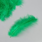Перо декоративное гусиное пуховое "Зелёная трава" набор 40 шт h=10-15 см - Фото 2