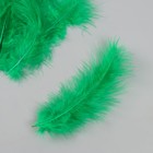Перо декоративное гусиное пуховое "Зелёная трава" набор 40 шт h=10-15 см - фото 8180745