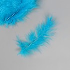 Перо декоративное гусиное пуховое "Голубое озеро" набор 40 шт h=10-15 см - Фото 3