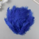 Перо декоративное гусиное пуховое "Сапфировый синий" набор 40 шт h=10-15 см - фото 320751046