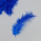 Перо декоративное гусиное пуховое "Сапфировый синий" набор 40 шт h=10-15 см - фото 8180760