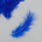 Перо декоративное гусиное пуховое "Сапфировый синий" набор 40 шт h=10-15 см - фото 8180761