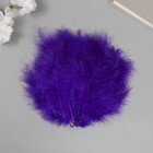 Перо декоративное гусиное пуховое "Фиолетовое" набор 40 шт h=10-15 см - фото 320751054