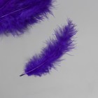 Перо декоративное гусиное пуховое "Фиолетовое" набор 40 шт h=10-15 см - фото 8180768