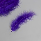 Перо декоративное гусиное пуховое "Фиолетовое" набор 40 шт h=10-15 см - фото 8180769