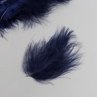 Перо декоративное гусиное пуховое "Тёмно-синий" набор 40 шт h=10-15 см - фото 8180772
