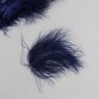 Перо декоративное гусиное пуховое "Тёмно-синий" набор 40 шт h=10-15 см - фото 8180773
