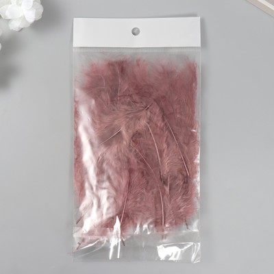Перо декоративное гусиное пуховое «Кофе», набор 40 шт., h=10-15 см