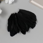 Перо декоративное гусиное "Чёрное" в форме листа набор 40 шт h=5-7 см - фото 307209013