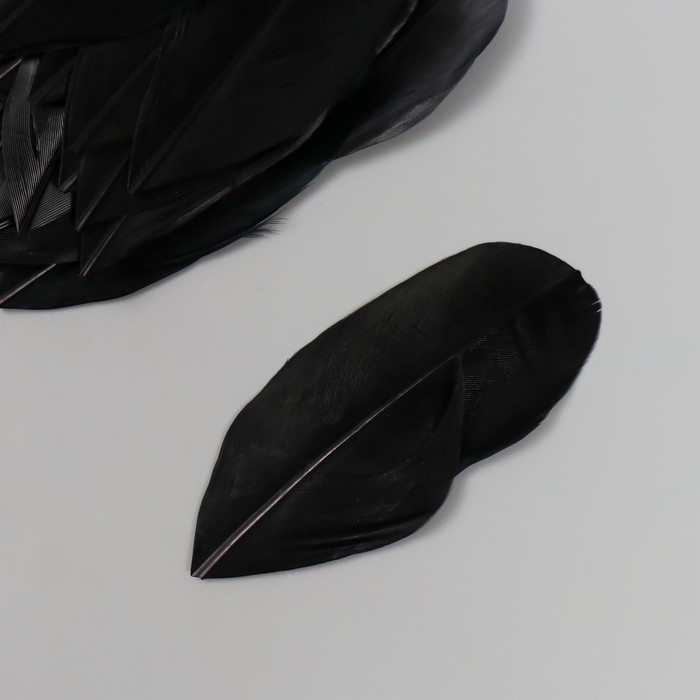 Перо декоративное гусиное "Чёрное" в форме листа набор 40 шт h=5-7 см