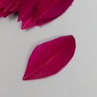 Перо декоративное гусиное "Темно-фиолетовое" в форме листа набор 40 шт h=5-7 см - фото 8180808