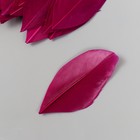 Перо декоративное гусиное "Темно-фиолетовое" в форме листа набор 40 шт h=5-7 см - фото 8180809