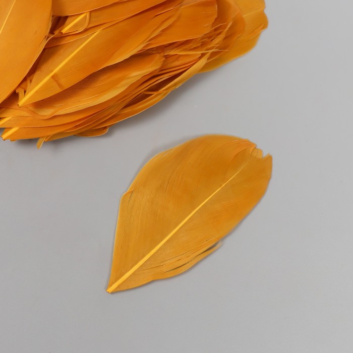 Перо декоративное гусиное "Осень" в форме листа набор 40 шт h=5-7 см