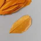 Перо декоративное гусиное "Осень" в форме листа набор 40 шт h=5-7 см - фото 8180816