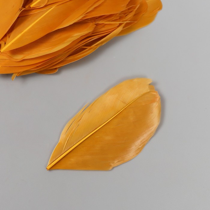 Перо декоративное гусиное "Осень" в форме листа набор 40 шт h=5-7 см