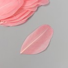 Перо декоративное гусиное "Телесно-розовое" в форме листа набор 40 шт h=5-7 см - фото 8180819
