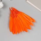 Перо декоративное гусиное "Ярко-оранжевое" набор 30 шт h=10-12 см - фото 8180838