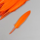 Перо декоративное гусиное "Ярко-оранжевое" набор 30 шт h=10-12 см - Фото 2