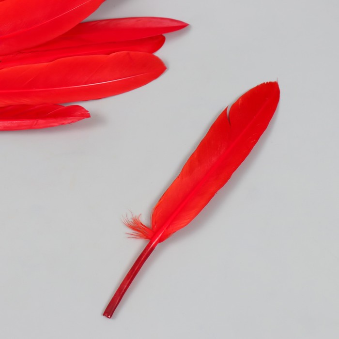 Перо декоративное гусиное "Красное" набор 30 шт h=10-12 см