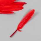 Перо декоративное гусиное "Красное" набор 30 шт h=10-12 см - фото 8180844