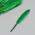 Перо декоративное гусиное "Ярко-зелёное" набор 30 шт h=10-12 см - Фото 2