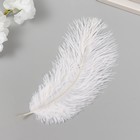 Перо декоративное страуса "Белое облако" h=15-20 см - фото 34260029