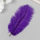 Перо декоративное страуса «Фиолет», h=15-20 см 9604825