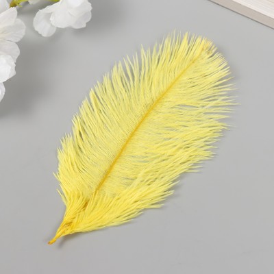 Перо декоративное страуса «Лимон», h=15-20 см