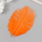 Перо декоративное страуса "Апельсин" h=15-20 см (комплект 10 шт) - фото 23416855