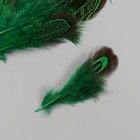 Перо декоративное фазана "Рябь. Зелёная" набор 20 шт h=5-7 см - фото 24305582