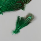 Перо декоративное фазана "Рябь. Зелёная" набор 20 шт h=5-7 см - фото 24305583