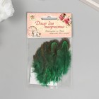 Перо декоративное фазана "Рябь. Зелёная" набор 20 шт h=5-7 см - фото 24305584