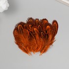 Перо декоративное фазана "Рябь. Оранжевая" набор 20 шт h=5-7 см - фото 26662872