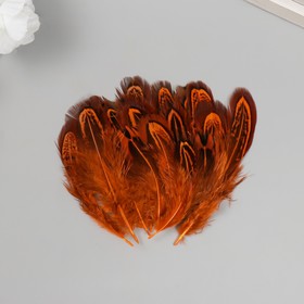 Перо декоративное фазана 