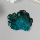 Перо декоративное фазана "Рябь. Голубая" набор 20 шт h=5-7 см - Фото 1